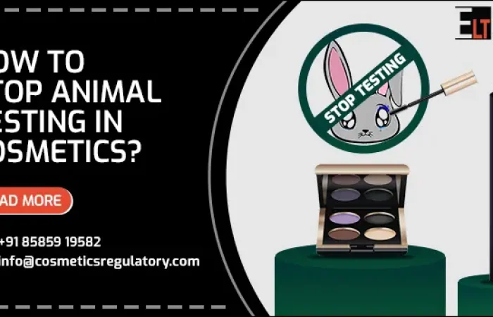 Stop Animal Testing In Cosmetics